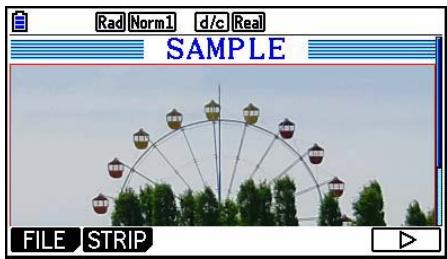 CASIO FX COLOR GRAPH 20 - ■ Insertion d'un image (photo) - 2