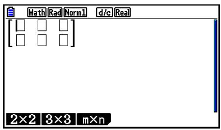 CASIO FX COLOR GRAPH 20 - Exemple Créer une matrice de 2 lignes × 3 colonnes - 2