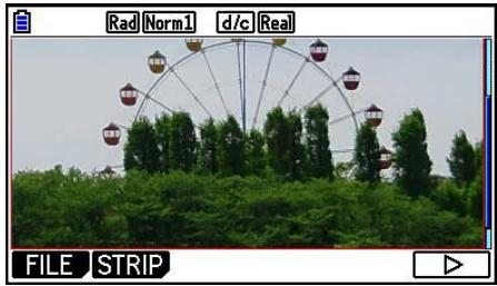 CASIO FX COLOR GRAPH 20 - ■ Insertion d'un image (photo) - 1