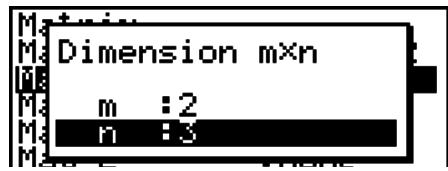 CASIO GRAPH 95 - - Pour spécifique les dimensions (la taille) d'une matrice - 3