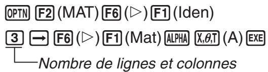 CASIO GRAPH 95 SD - Exemple Créer une matrice unité 3× 3 comme matrice A - 1