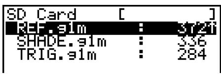 CASIO GRAPH 95 SD - Exemple Rechercher tous les fichiers dans la carte SD dont le nom commence par la dette « R » - 1