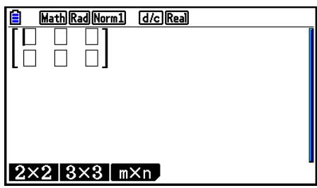 CASIO GRAPH COLOR FX-CG20 - Exemple Créer une matrice de 2 lignes × 3 colonnes - 2
