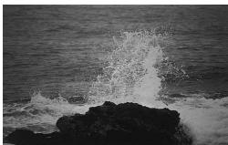 PENTAX MZ-6 - Effet de l'ouverture - 1