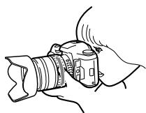 PENTAX MZ-6 - Mise au point sur le sujet - 1