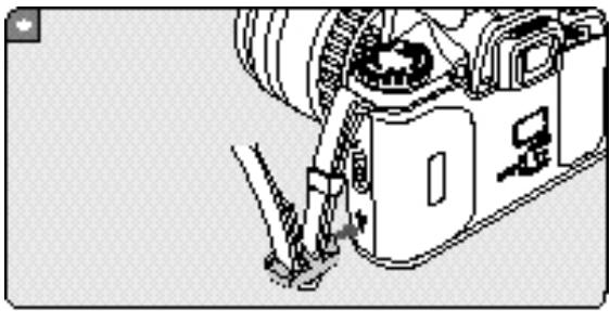 PENTAX MZ7 - Chargement correct : film bien plat - 8