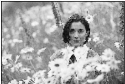 PENTAX MZ7 - UTILISATION DES ZOOMS - 2