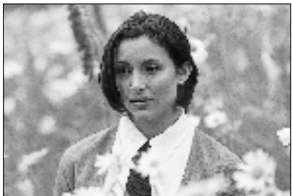 PENTAX MZ7 - UTILISATION DES ZOOMS - 1