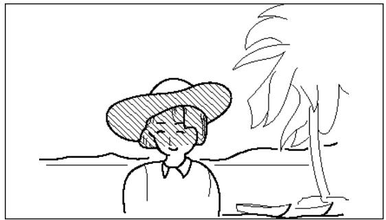 PENTAX MZ7 - PRISE DE VUE SYNCHRO FLASH PLEIN JOUR (FLASH FORCÉ) - 1