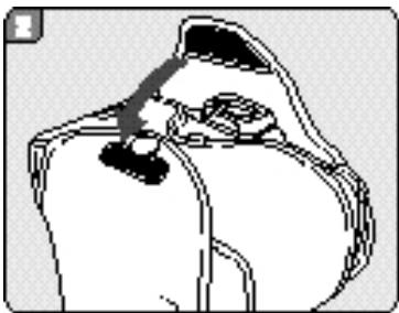 PENTAX MZ7 - Remarques sur les accessoires - 2