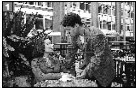 PENTAX MZ7 - PRENDRE UNE PHOTO - 1