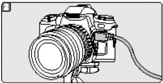 PENTAX MZ7 - Principe - 1