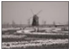 PENTAX MZS - BRACKETING AUTOMATIQUE - 3