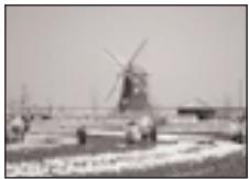 PENTAX MZS - BRACKETING AUTOMATIQUE - 2