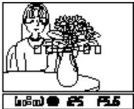 PENTAX MZS - Visée de la zone de mise au point - 2