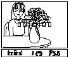 PENTAX MZS - Visée de la zone de mise au point - 1