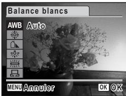 PENTAX OPTIO M30 - Balance des blancs - 1