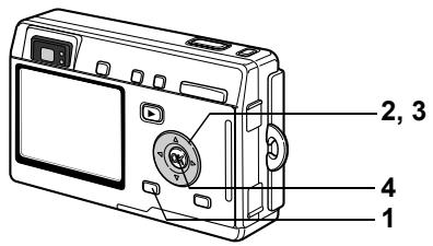 PENTAX OPTIO S4I - Prise de vue avec contours adoucis (Mode mise au point douce) - 3