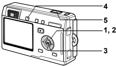 PENTAX OPTIO S4I - Prise de vue sous-marine fixe (Mode maritime) - 4