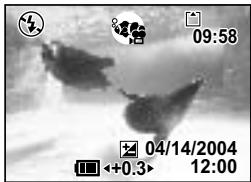 PENTAX OPTIO S4I - Prise de vue série video sous-marine (Mode film maritime) - 2