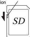 ion SD