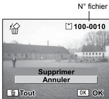 N° fichier 100-0010 Supprimer Annuler Tout OK OK