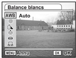 PENTAX OPTIO S6 - Réglage de la balance des blancs - 1