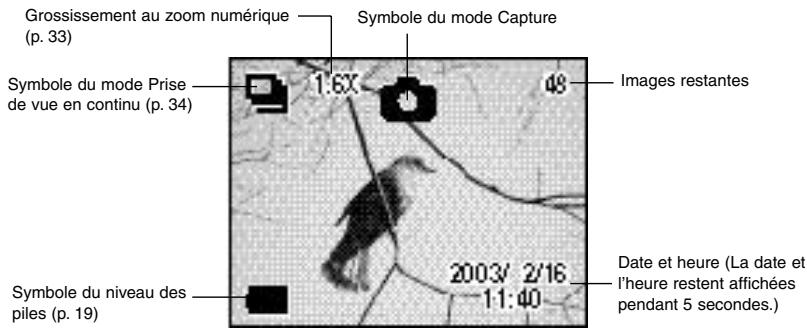 PENTAX DIGIBINO - Moniteur ACL activé - 1