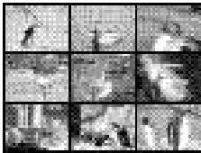 PENTAX DIGIBINO - Neun-Bilder-Display (Thumbnail) - 3