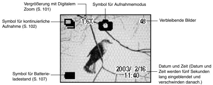 PENTAX DIGIBINO - LCD-Monitor EIN - 1