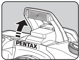 PENTAX ISTDS2 - Pressez le déclencheur à mi-course. - 1