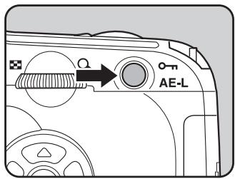 AE-L