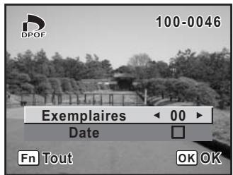 100-0046 Exemplaires < 00 ▶ Date □ Fn Tout OK OK