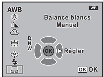 AWB Balance blancs Manuel DNW OK Régler OK OK