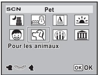 SCN Pet Pour les animaux OK OK