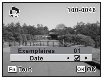 100-0046 Exemplaires 01 Date ▼ Fn Tout OK OK