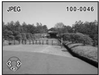 PENTAX K100D - Appuyez sur le bouton ▶ et sélectionnez une image à l'aide du bouton de navigation (◀▶). - 1