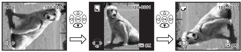 JPEG 100-0001 100-0001 OK OK OK OK OK OK