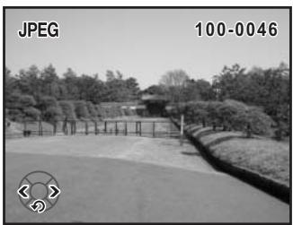 PENTAX K100D - Suppression d'une seule image - 2
