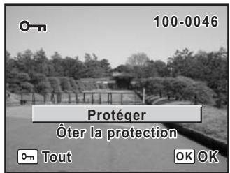 100-0046 Protéger Ôter la protection Tout OK OK