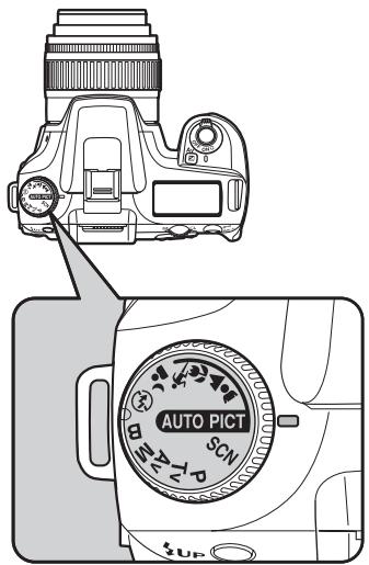 AUTO PICT SCN