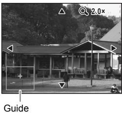 2.0x Guide