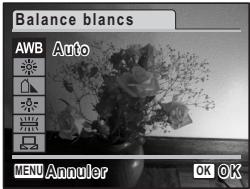 Balance blancs AWB Auto MENU Annuler OK OK