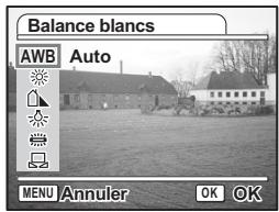 PENTAX OPTIO S12 - Réglage de la balance des blancs - 2