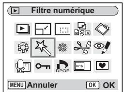 PENTAX OPTIO S12 - Édition de photos à l'aide du contrôle numérique - 1