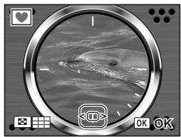 PENTAX OPTIO W60 - Encadrement de vos photos (compos. cadre créé.) - 2