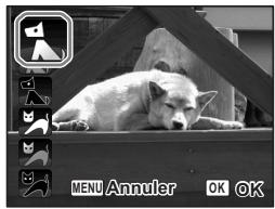 PENTAX OPTIO W60 - Prise de vue de votre animal familier (mode animaux domestiques) - 1