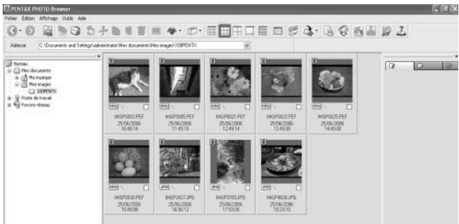 PENTAX PHOTO BROWSER 3 - Sélectionné le dossier contenant le fichier image à visualiser dans l'arborescence. - 1