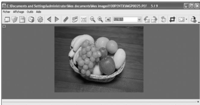 PENTAX PHOTO BROWSER 3 - Zoom arrête - 1