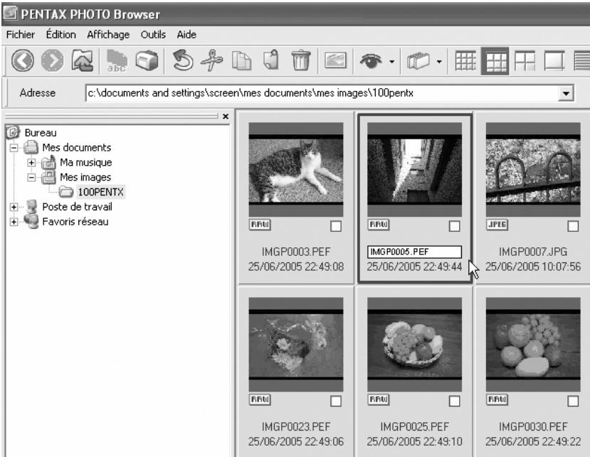 PENTAX PHOTO LABORATORY 2.1 - Sélectionnez la commande [Coller] dans le menu [Édition].   Vous peuvent également cliquer sur l'icone de la barre d'outils. - 5